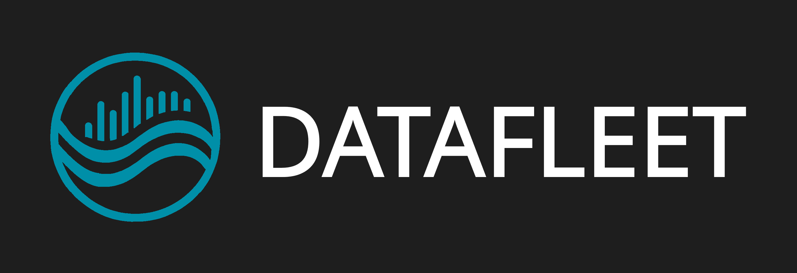 DataFleet Logo